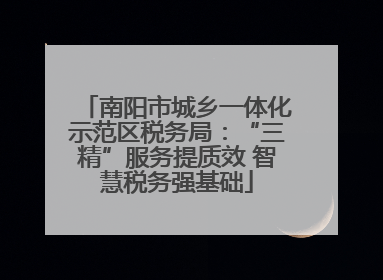 南阳市城乡一体化示范区税务局：“三精”服务提质效 智慧税务强基础