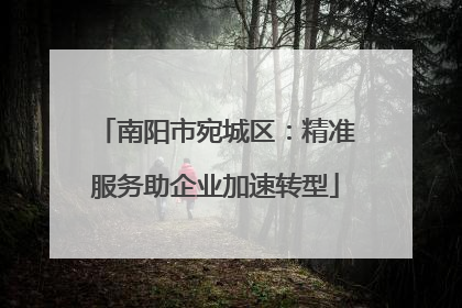 南阳市宛城区：精准服务助企业加速转型