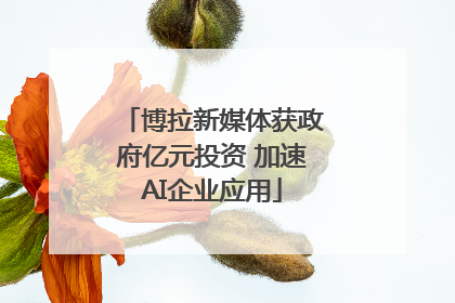 博拉新媒体获政府亿元投资 加速AI企业应用