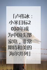 卢伟冰：小米目标2030年成为中国头部家电，非常期待和美的海尔并列