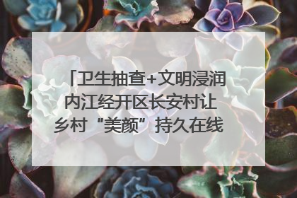 卫生抽查+文明浸润 内江经开区长安村让乡村“美颜”持久在线｜万千气象看四川