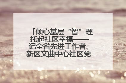 倾心基层“智”理 托起社区幸福——记全省先进工作者、新区文曲中心社区党委书记董世弘