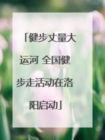 健步丈量大运河 全国健步走活动在洛阳启动