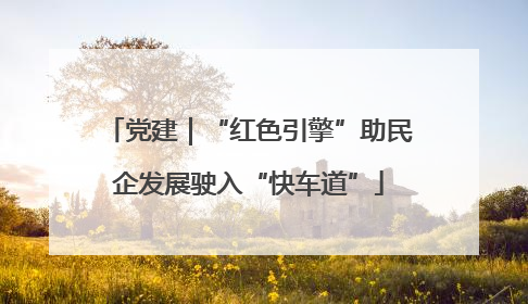 党建｜“红色引擎”助民企发展驶入“快车道”