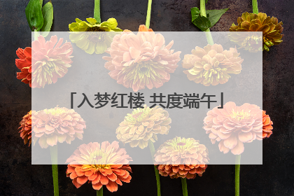 入梦红楼 共度端午