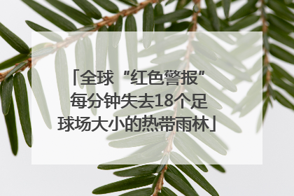 全球“红色警报”  每分钟失去18个足球场大小的热带雨林