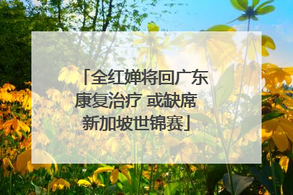 全红婵将回广东康复治疗 或缺席新加坡世锦赛