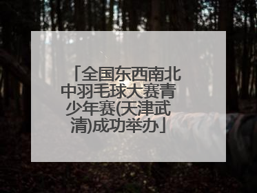 全国东西南北中羽毛球大赛青少年赛(天津武清)成功举办