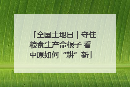 全国土地日｜守住粮食生产命根子 看中原如何“耕”新