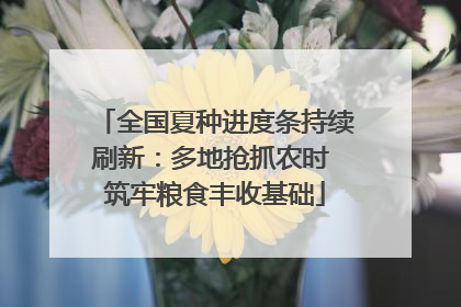 全国夏种进度条持续刷新：多地抢抓农时 筑牢粮食丰收基础