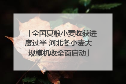 全国夏粮小麦收获进度过半 河北冬小麦大规模机收全面启动