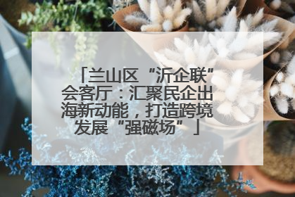 兰山区“沂企联”会客厅：汇聚民企出海新动能，打造跨境发展“强磁场”