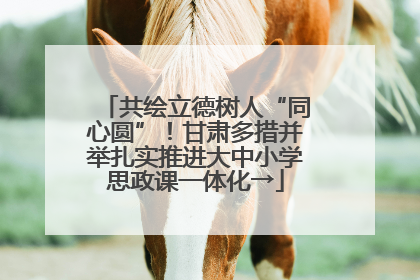 共绘立德树人“同心圆”！甘肃多措并举扎实推进大中小学思政课一体化→