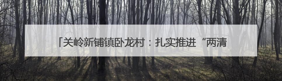 关岭新铺镇卧龙村：扎实推进“两清两改两治理” 绘就乡村宜居新图景