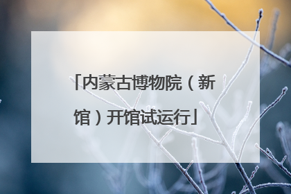 内蒙古博物院（新馆）开馆试运行