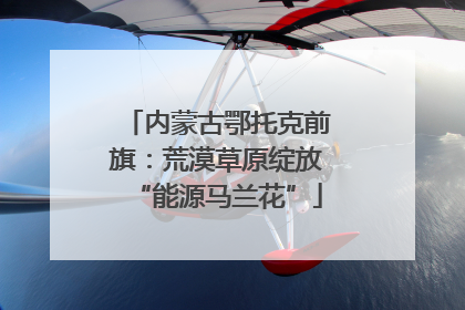 内蒙古鄂托克前旗：荒漠草原绽放“能源马兰花”