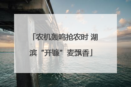 农机轰鸣抢农时 湖滨“开镰”麦飘香