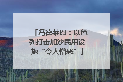 冯德莱恩：以色列打击加沙民用设施“令人憎恶”