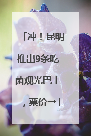 冲！昆明推出9条吃菌观光巴士，票价→