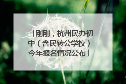 刚刚，杭州民办初中（含民转公学校）今年报名情况公布