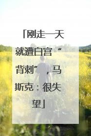 刚走一天就遭白宫“背刺”，马斯克：很失望
