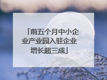 前五个月中小企业产业园入驻企业增长超三成