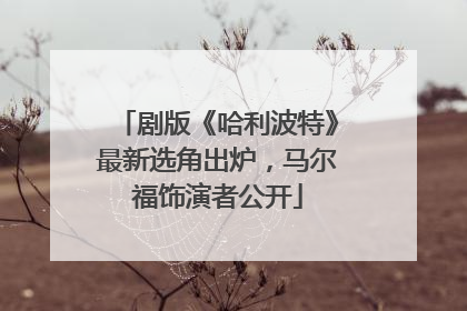 剧版《哈利波特》最新选角出炉，马尔福饰演者公开