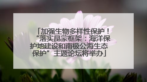 加强生物多样性保护！“落实昆蒙框架：海洋保护地建设和南极公海生态保护”主题论坛将举办