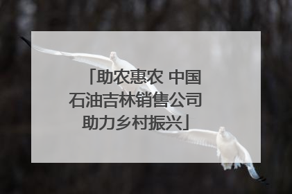 助农惠农 中国石油吉林销售公司助力乡村振兴