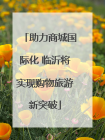 助力商城国际化 临沂将实现购物旅游新突破