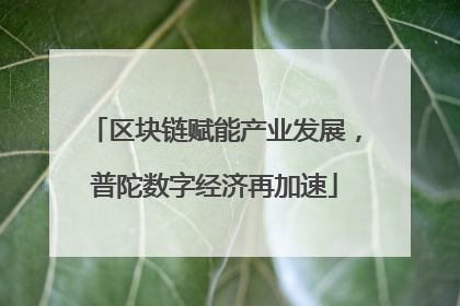 区块链赋能产业发展，普陀数字经济再加速