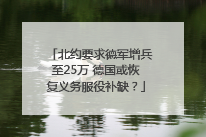 北约要求德军增兵至25万 德国或恢复义务服役补缺？