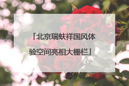 北京瑞蚨祥国风体验空间亮相大栅栏