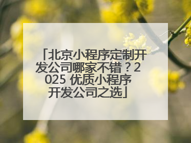 北京小程序定制开发公司哪家不错？2025 优质小程序开发公司之选
