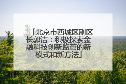 北京市西城区副区长郭洁：积极探索金融科技创新监管的新模式和新方法