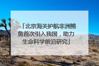 北京海关护航非洲鳉鱼首次引入我国，助力生命科学前沿研究
