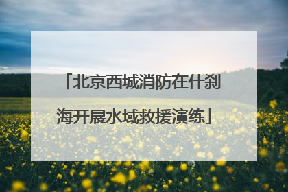 北京西城消防在什刹海开展水域救援演练