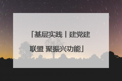 基层实践丨建党建联盟 聚振兴功能