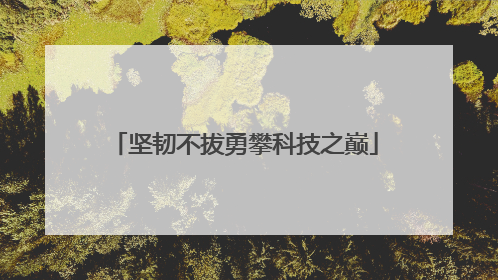 坚韧不拔勇攀科技之巅
