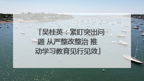 吴桂英：紧盯突出问题 从严整改整治 推动学习教育见行见效