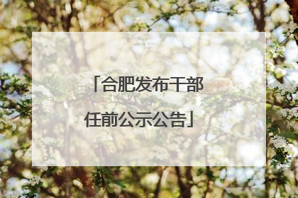 合肥发布干部任前公示公告