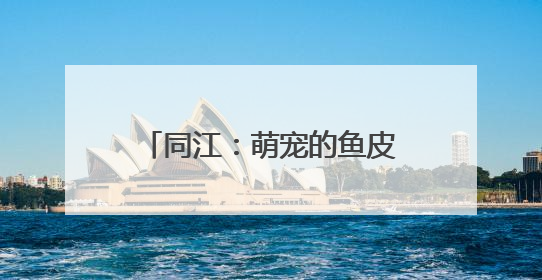 同江：萌宠的鱼皮新装刷屏！非遗技艺与“萌态跨界”