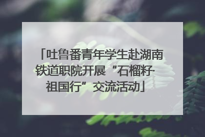 吐鲁番青年学生赴湖南铁道职院开展“石榴籽·祖国行”交流活动