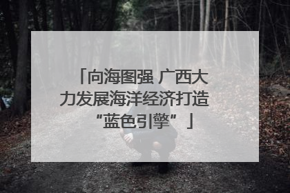 向海图强 广西大力发展海洋经济打造“蓝色引擎”