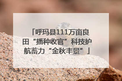 呼玛县111万亩良田“播种收官”科技护航蓄力“金秋丰景”