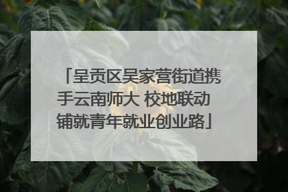 呈贡区吴家营街道携手云南师大 校地联动铺就青年就业创业路