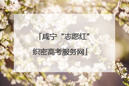 咸宁“志愿红”织密高考服务网