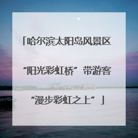 哈尔滨太阳岛风景区“阳光彩虹桥”带游客“漫步彩虹之上”