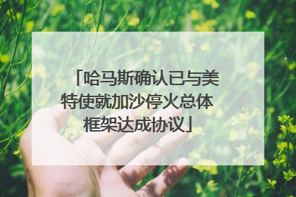 哈马斯确认已与美特使就加沙停火总体框架达成协议