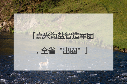 嘉兴海盐智造军团，全省“出圈”